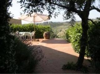 Agriturismo Bio Fattoria Bacio Certaldo Luaran gambar